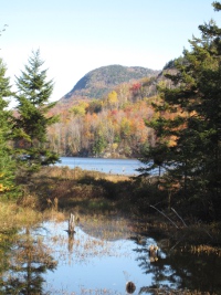 Le mont Chauve vu d'un sentier du parc