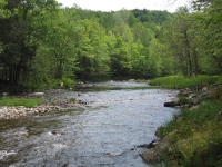 La rivière au Saumon