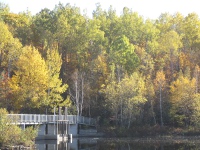 Le marais de Kingsbury
