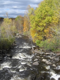 La rivière au saumon