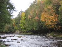 La rivière au saumon