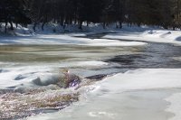 La rivière au Saumon