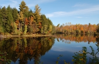 L'étang de Kingsbury