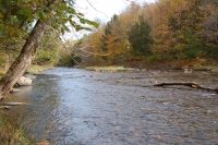 La rivière au Saumon